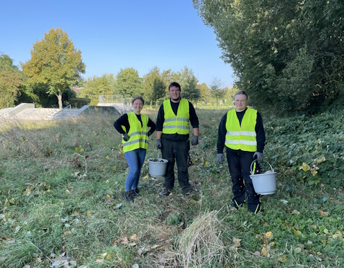 World Cleanup Day 2024: Sauberes Brackenheim