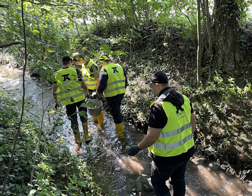 World Cleanup Day 2024: Sauberes Brackenheim